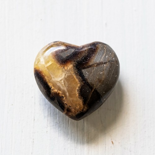 Coeur bois fossilisé - coeur, ou