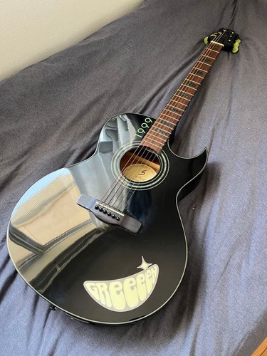 Guitare acoustique greg - guitare,
