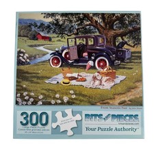 Bits Et Morceaux Des Saisons Passées John Sloane 300 Pcs Puzzle Complet