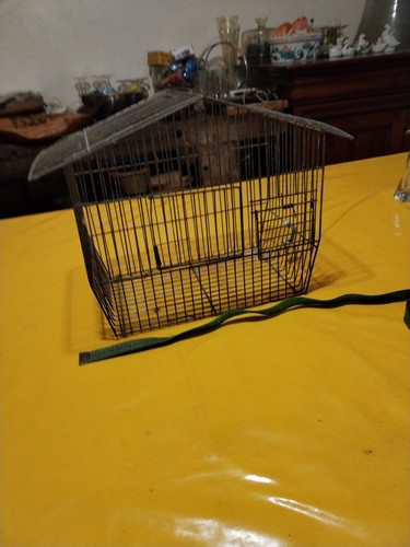 Ancienne cage oiseaux fer - oiseaux,