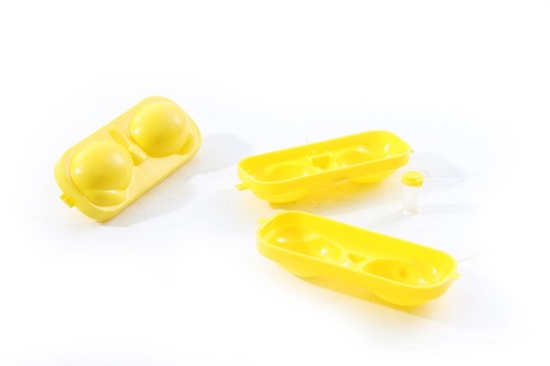 Boîte oeufs conteneur - boîte,