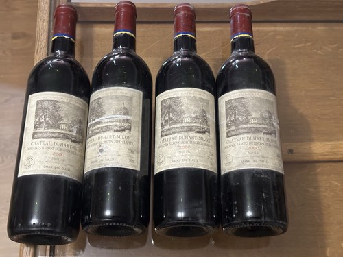 Château duhart milon - château,