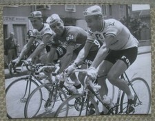 Jacques Anquetil Rik Van Looy Van Steenbergen Cyclisme Photo Tuttosport