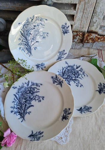 Anciennes assiettes plates - anciennes,
