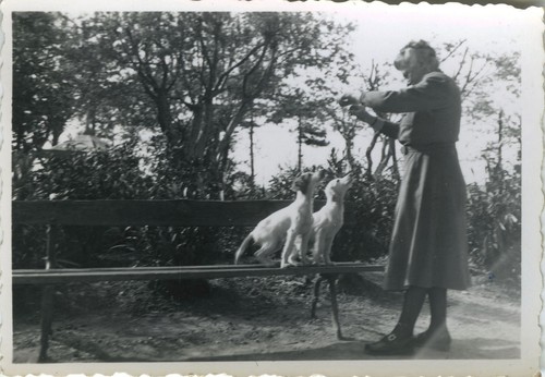 Photo ancienne vintage - photo,