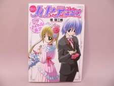 Hayate the Combat Butler Manga