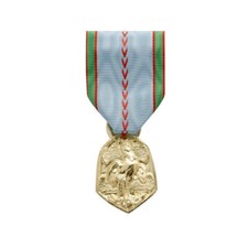 MEDAILLE COMMEMORATIVE GUERRE