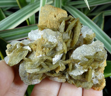 Sidérite & Quartz La Mure