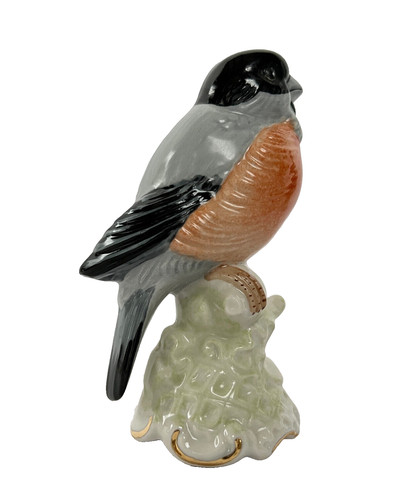 Oiseau bouvreuil - oiseau, en