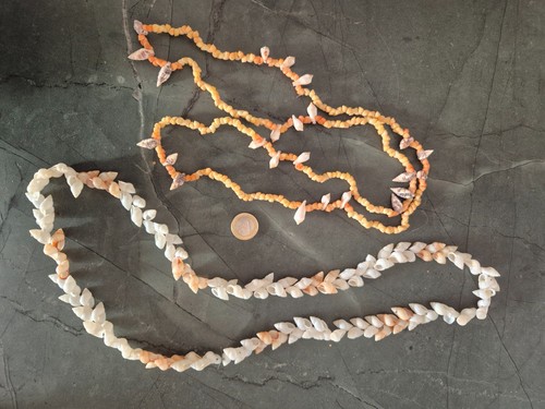 Colliers coquillages - de,