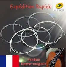 6 cordes guitare classique Nylon Argent.