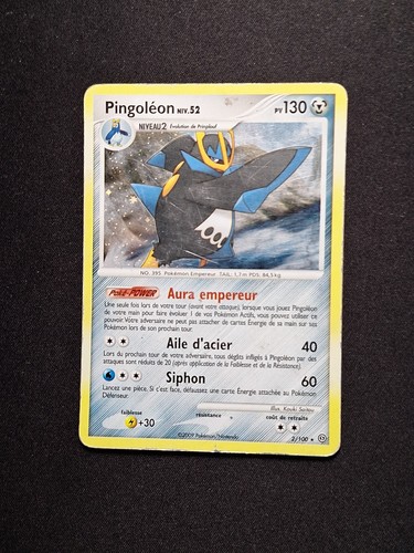 Holo pingoléon 100 dp - holo,