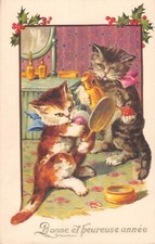 CPA FANTAISIE REPRESENTANT 2