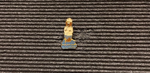 Pin collector rare - pin’s,