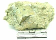 Pyrite cubique sur gangue Espagne (A)