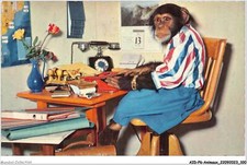 AIDP6-ANIMAUX-0527 - singe au bureau