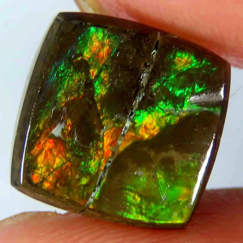 Cabochon coussin ammolite