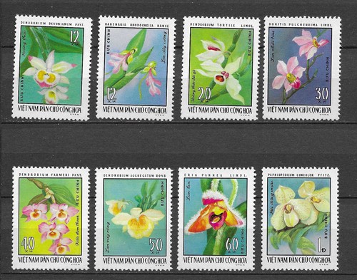 Viét nam fleurs - viét,