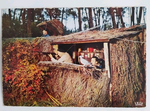 Carte postale des landes - postale,