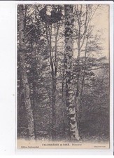 SARE: palombière, directeur - très bon état