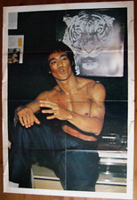 1 POSTER DE MAGAZINE BRUCE LEE KUNG-FU MONTHLY N°14 1976