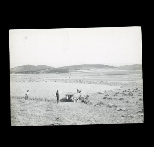 Lac bouchet 1900 - lac,