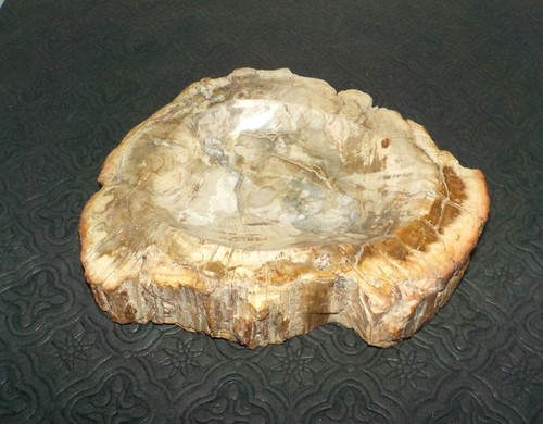 Tranche bois fossilisé - de,