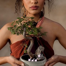  10 Pcs Mini Figurine Animaux