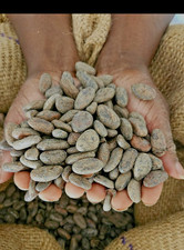 Fèves de cacao BIO ,crues, non traitées, origine: République Dominicaine)
