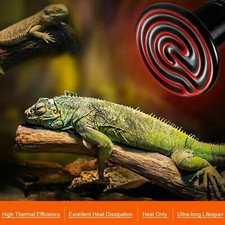 Ceramic Heat émetteur pour couveuse lampe infrarouge Ampoule Reptile Pet Coop