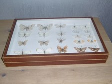 Ancienne vitrine boîte