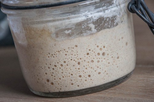 Levain bio - levain,