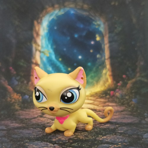 Chat siamois mei reeves - chat,