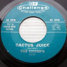 The Champs Surf R&r Inst. Fort