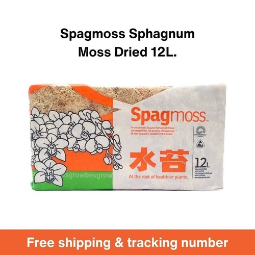Mousse spagmatique - , de