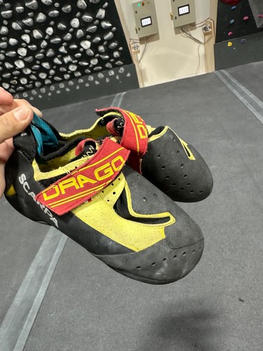 Scarpa drago 5 - drago, 37.5