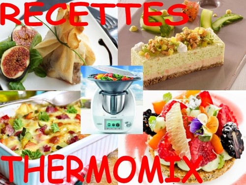 1200 recettes thermomix tm31 - thermomix,