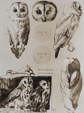 Mathurin MEHEUT : Le Hibou
