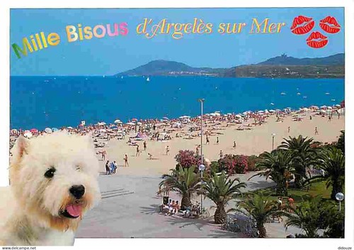 Carte postale animaux - -,
