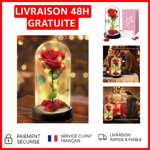 Rose éternelle sous dôme - rose, en