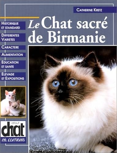 Chat sacre birmanie - chat, de