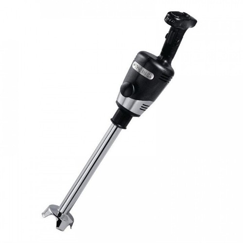 Mixeur plongeant inox
