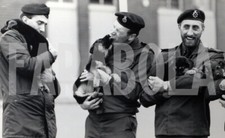 Photo De Presse Vintage Chiots