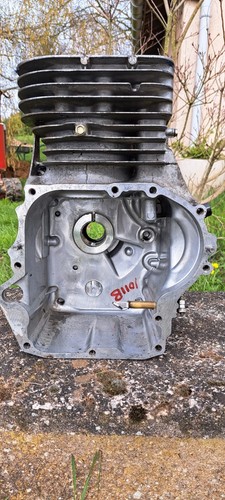 Bloc moteur briggs - moteur,