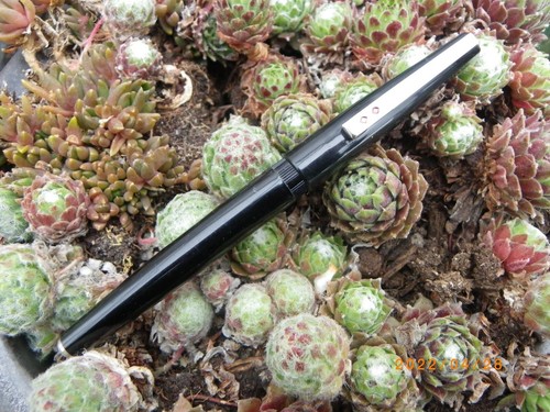 Stylo plume paper mate - plume,