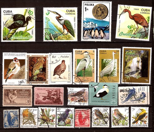 Tous pays oiseaux - tous,