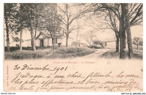 Bapp14 1411 foret de - -, la