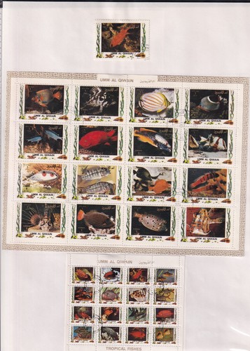 Collection umm et - collection, q