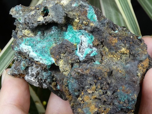Malachite chrysocolle sur - /,