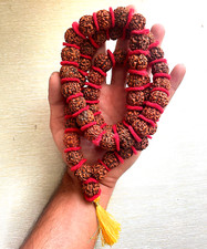 5 Mukhi Rudraksha / 5 Faces